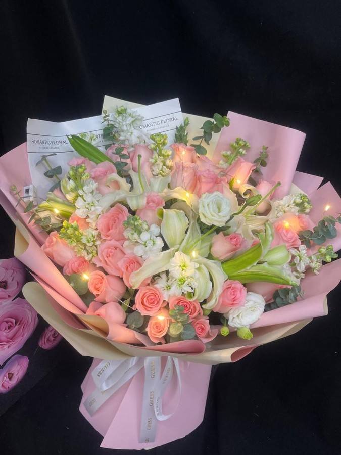 �º�ӯ���ػ���